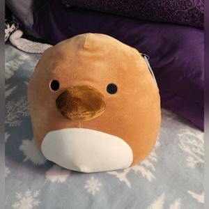 Squishmallow 12" Santino the Platypus, BNWT